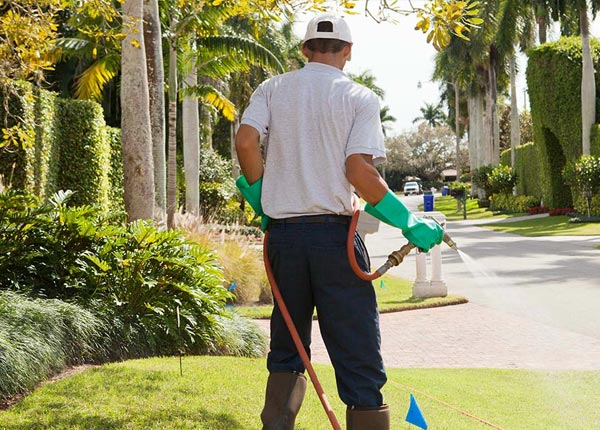 About Ila GA Pest Control Pros